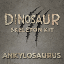 공룡화석시리즈 - 안킬로사우루스