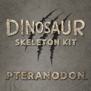 공룡화석시리즈 - 프테라노돈