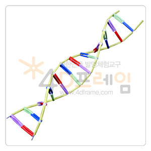 DNA 5