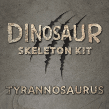 공룡화석시리즈 - 티라노사우루스